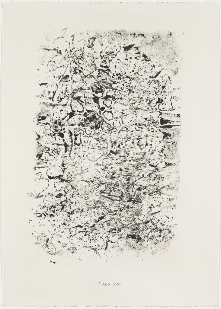 Association from the portfolio Scrap Plates II (Planches de rebut II) from Phenomena (Les Phénomènes)