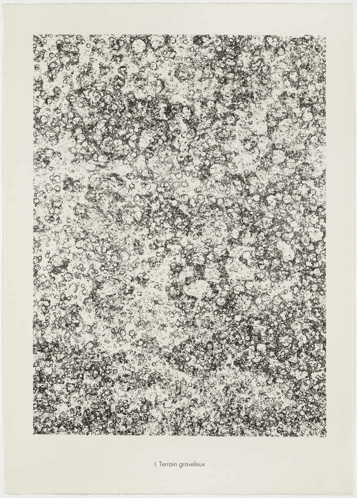Gravelly Terrain (Terrain graveleux) from the portfolio Soil, Earth (Sols, terres) from Phenomena (Les Phénomènes)