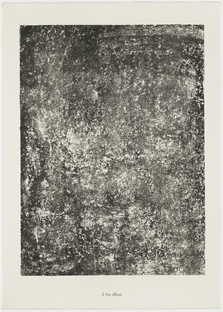 Diffuse Life (Vie diffuse) from the portfolio Soil, Earth (Sols, terres) from Phenomena (Les Phénomènes)