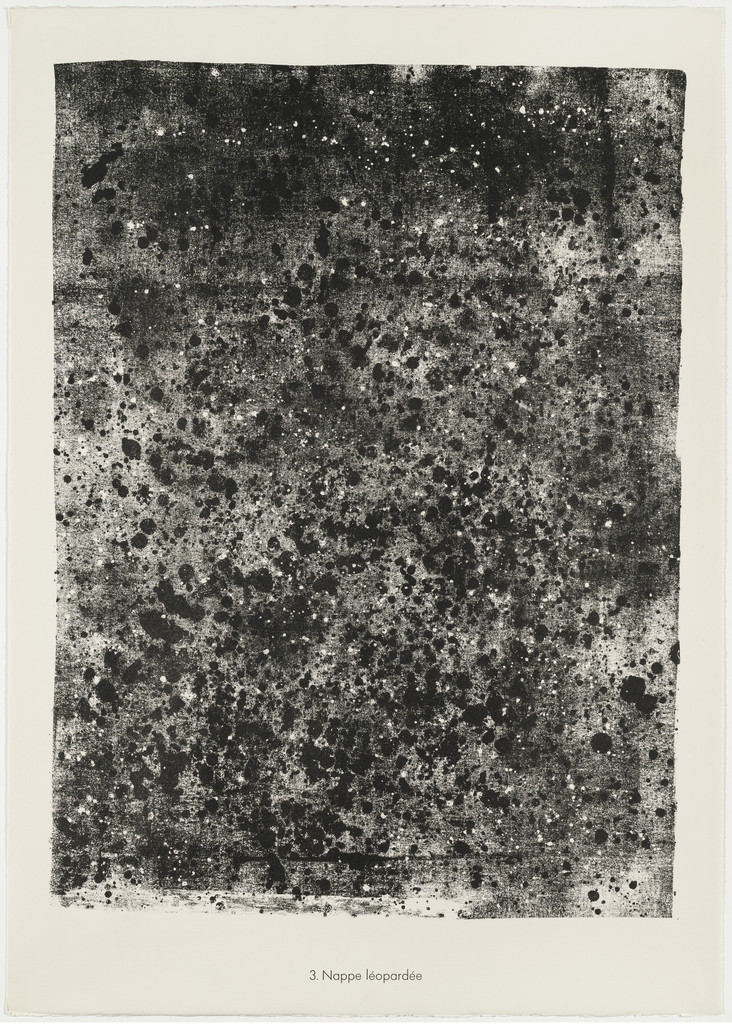 Spotted Groundwater (Nappe léopardée) from the portfolio Soil, Earth (Sols, terres) from Phenomena (Les Phénomènes)