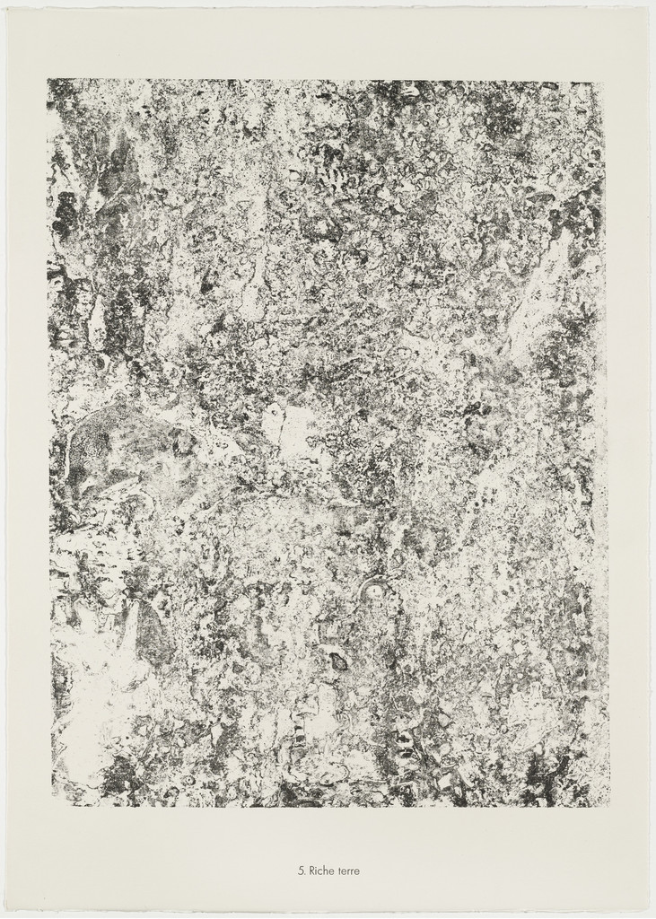 Rich Earth (Riche terre) from the portfolio Soil, Earth (Sols, Terres) from Phenomena (Les Phénomènes)