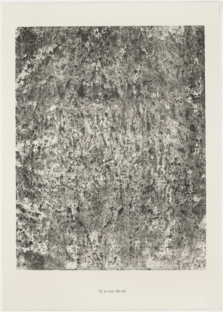 Wall of Earth (Le mur de sol) from the portfolio Soil, Earth (Sols, terres) from Phenomena (Les Phénomènes)