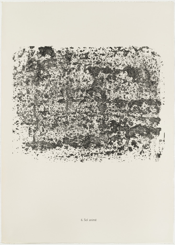 Animated Soil (Sol animé) from the portfolio Continuation of Inventory (Suite d'inventaire) from Phenomena (Les Phénomènes)