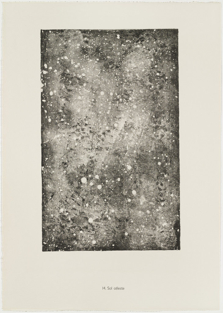 Celestial Soil (Sol céleste) from the portfolio Continuation of Inventory (Suite d'inventaire) from Phenomena (Les Phénomènes)