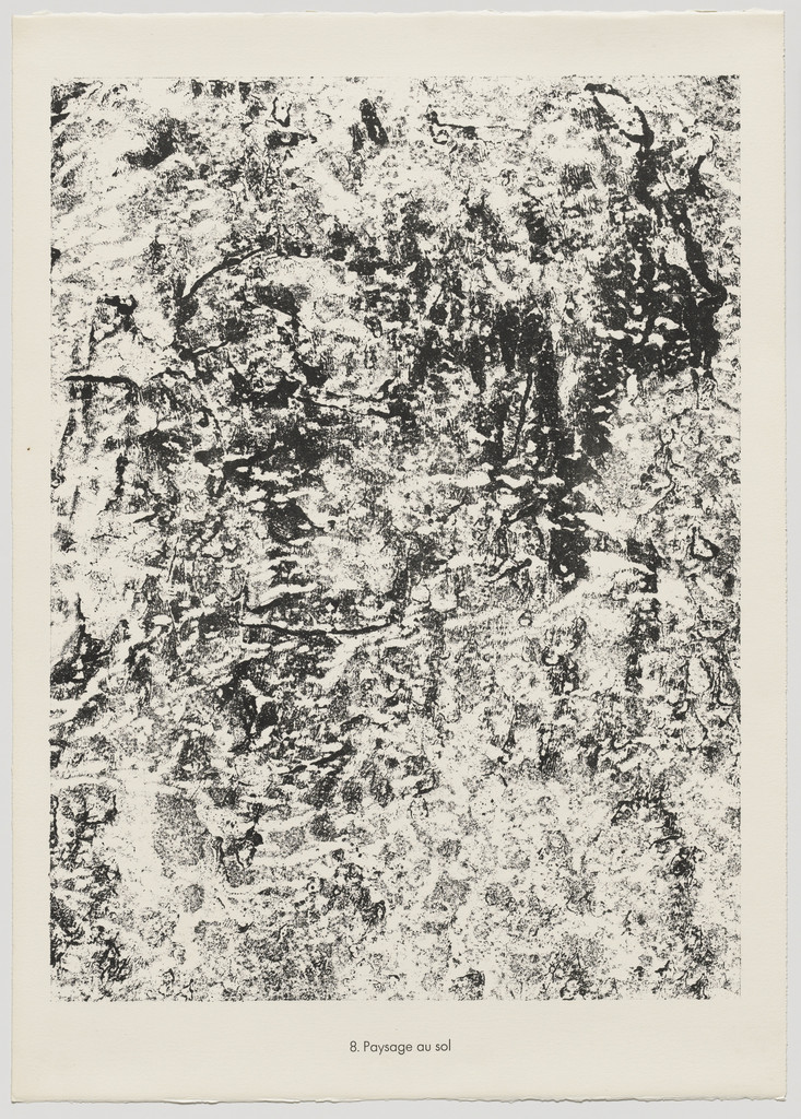 Landscape of Soil (Paysage au sol) from the portfolio Theater of the Earth (Théâtre du sol) from Phenomena (Les Phénomènes)