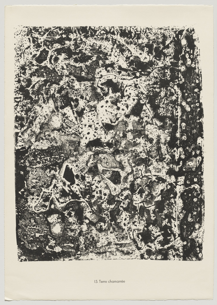 Ornamented Earth (Terre chamarrée) from the portfolio Theater of the Earth (Théâtre du sol) from Phenomena (Les Phénomènes)