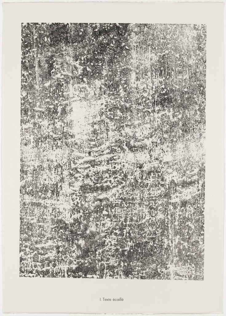 Scaly Text (Texte écaillé) from the portfolio Textures from Phenomena (Les Phénomènes)