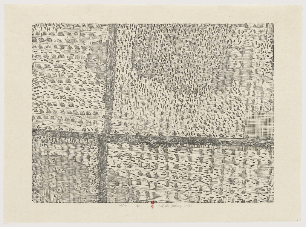 Field from Series of Repetitions