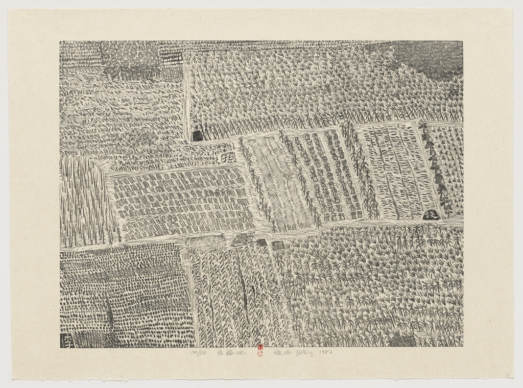 Cropland from Series of Repetitions