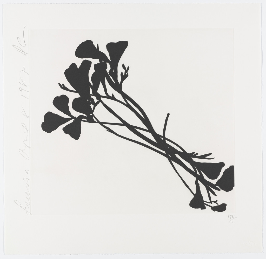 Black Freesias