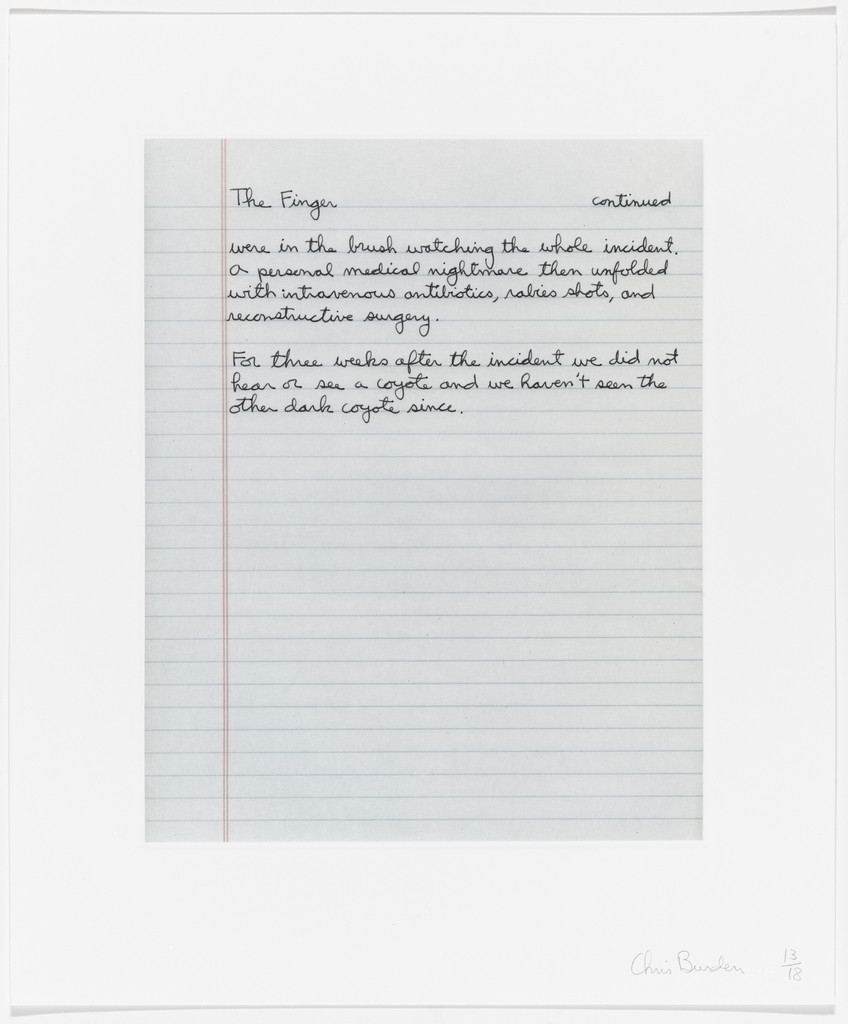 Untitled from Coyote Stories