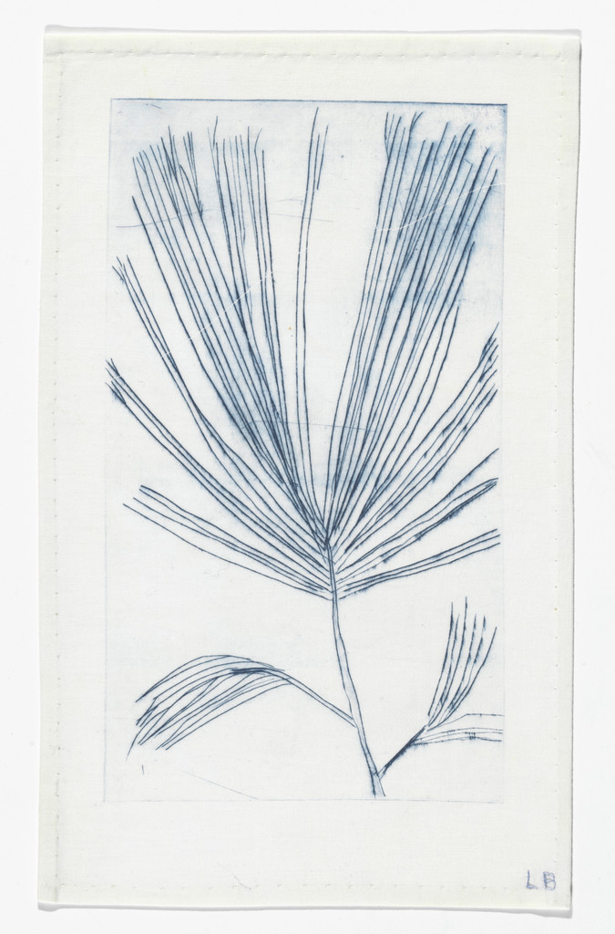 Untitled (Branch with Needles), in Les Arbres (3), from the editioned series of portfolios, Les Arbres (1-6)