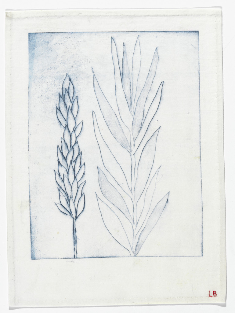 Untitled (Holiday Laurel)