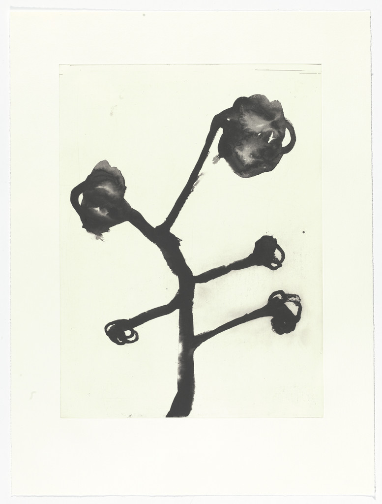 Les Fleurs