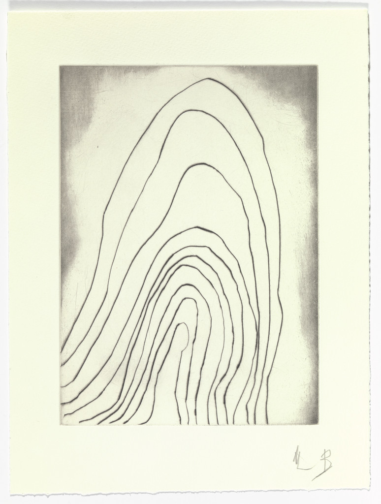 Untitled, plate 6 of 15, from the series, Nature Study