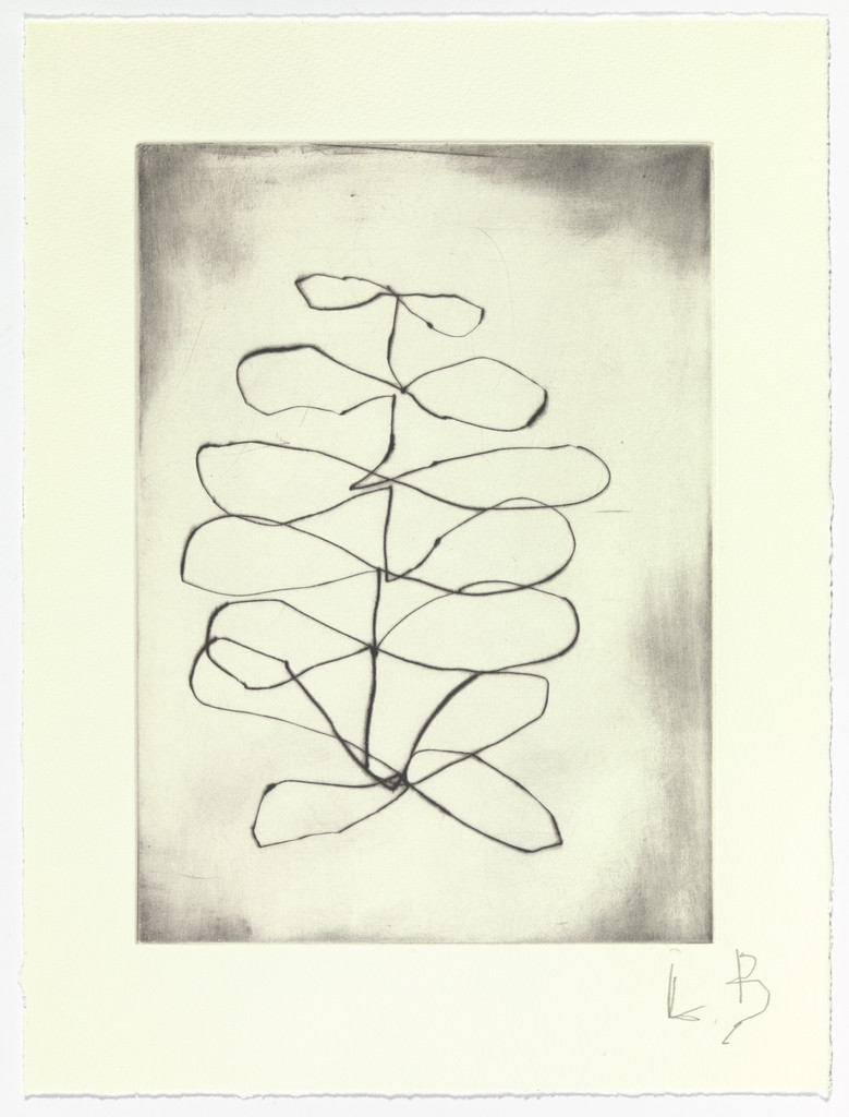 Untitled, plate 14 of 15, from the series, Nature Study