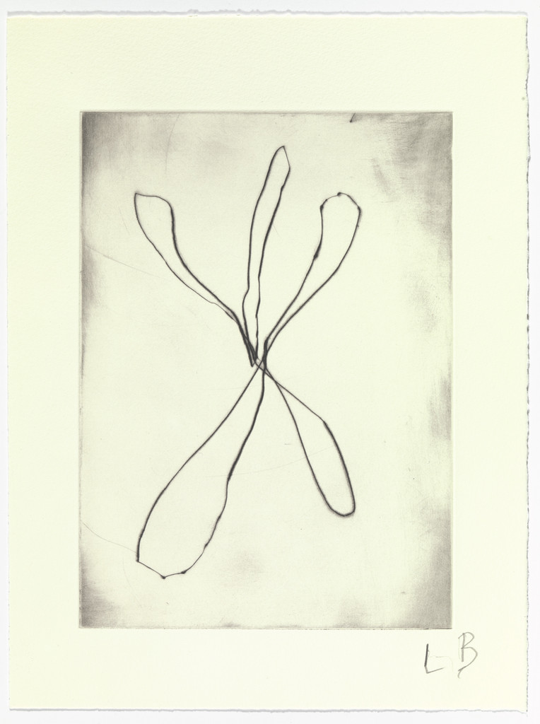 Untitled, plate 9 of 15, from the series, Nature Study