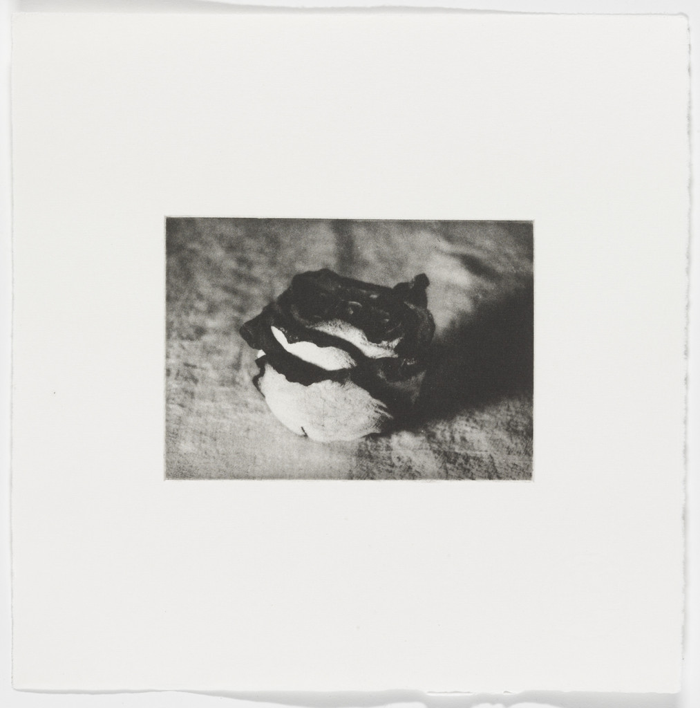 Untitled from Eyes, Dark