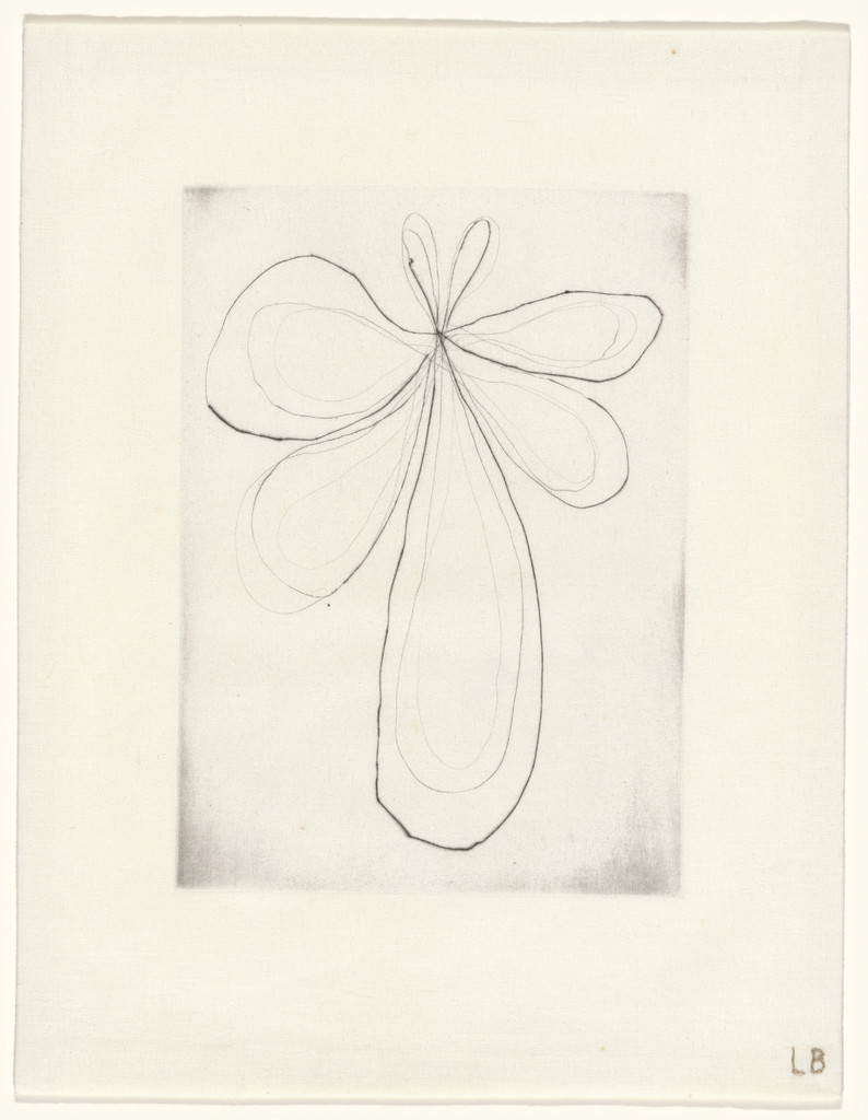 Untitled, plate 8 of 15, from the series, Nature Study