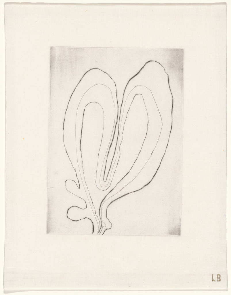 Untitled, plate 10 of 15, from the series, Nature Study