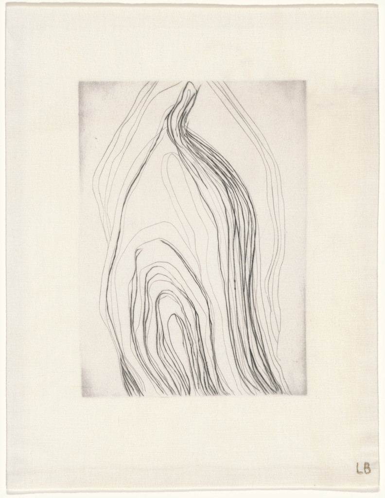 Untitled, plate 12 of 15, from the series, Nature Study
