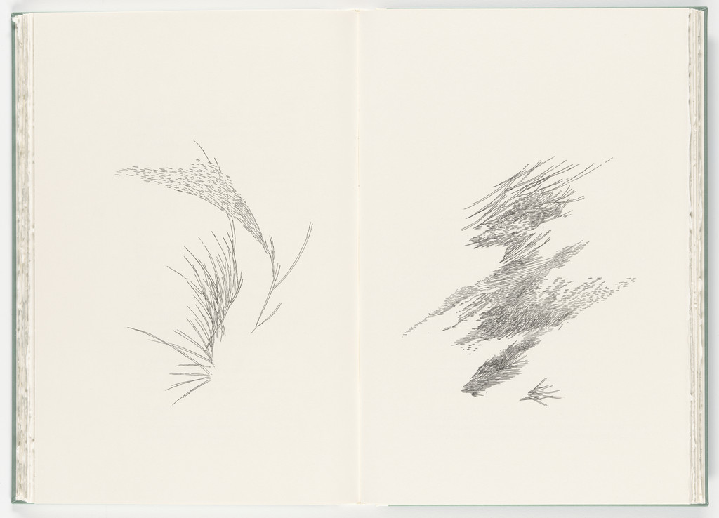 Untitled (plate, folio 25-26) from Poetry of Sappho