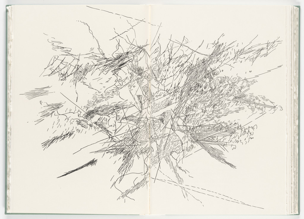 Untitled (plate, folio 43-44) from Poetry of Sappho