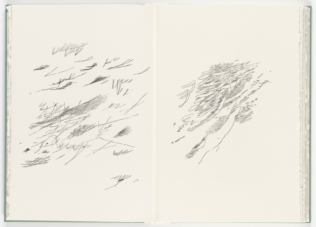 Untitled (plate, folio 45-46) from Poetry of Sappho