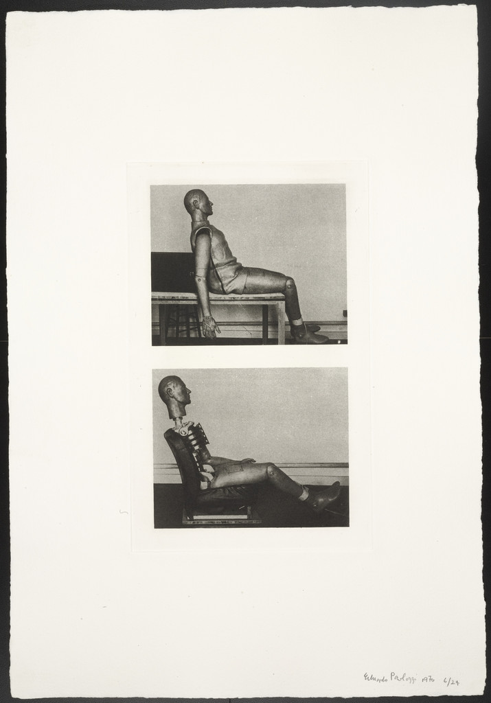 Untitled (M.I.R.A. Pair) from The Conditional Probability Machine