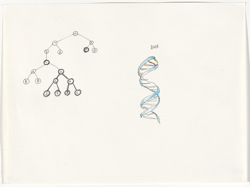 Drawings Metamorphosis
