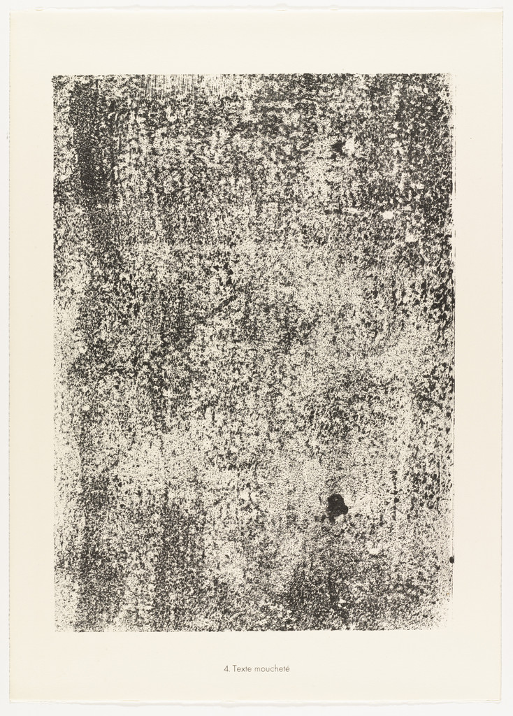 Mottled Matter (Texte moucheté) from the portfolio Sites and Paths (Sites et chaussées) from Phenomena (Les Phénomènes)