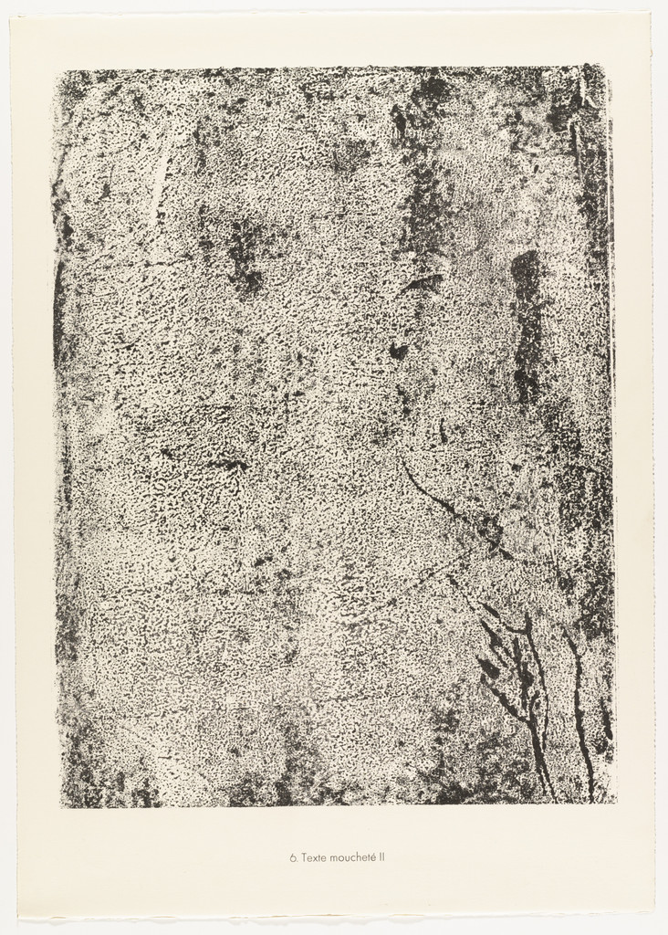 Mottled Text II (Texte moucheté II) from the portfolio Sites and Paths (Sites et chaussées) from Phenomena (Les Phénomènes)