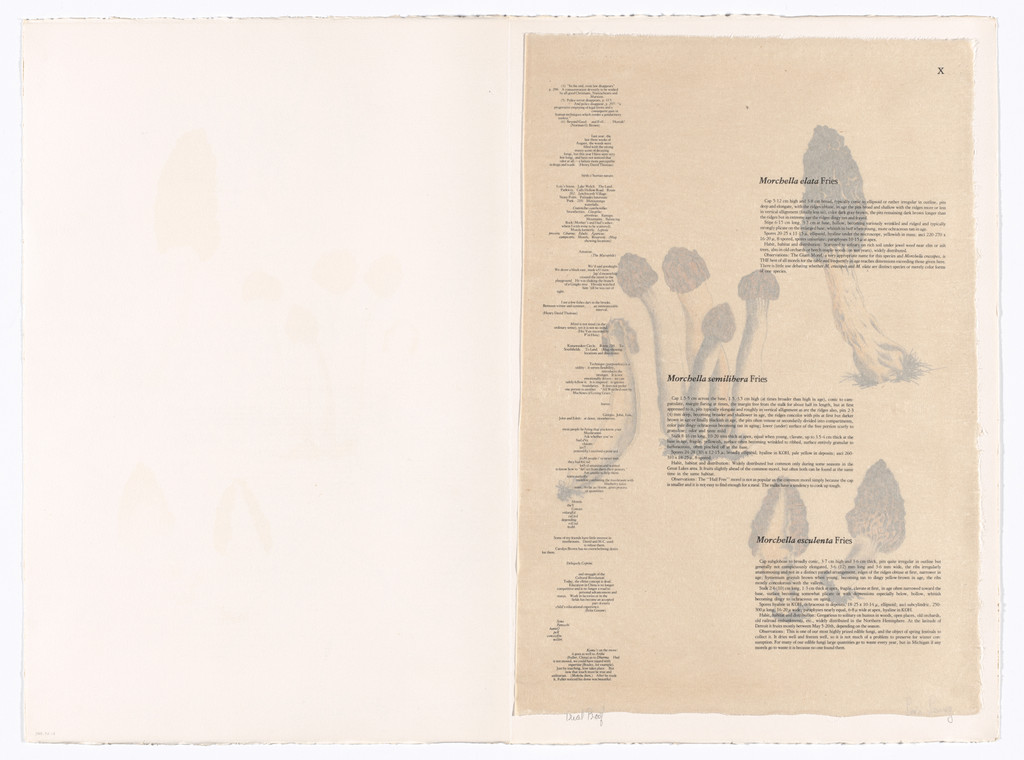 X (plate, folio 32) from Mushroom Book