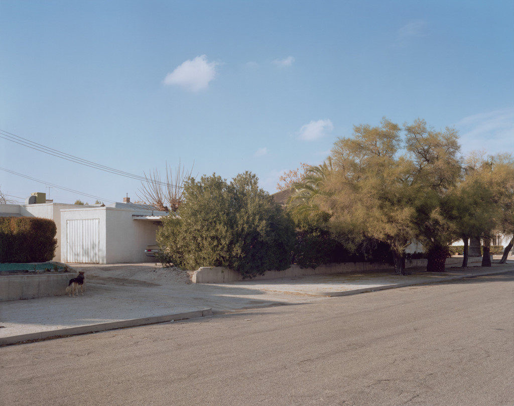 2nd Avenue, Tucson, Arizona, December 19, 1976