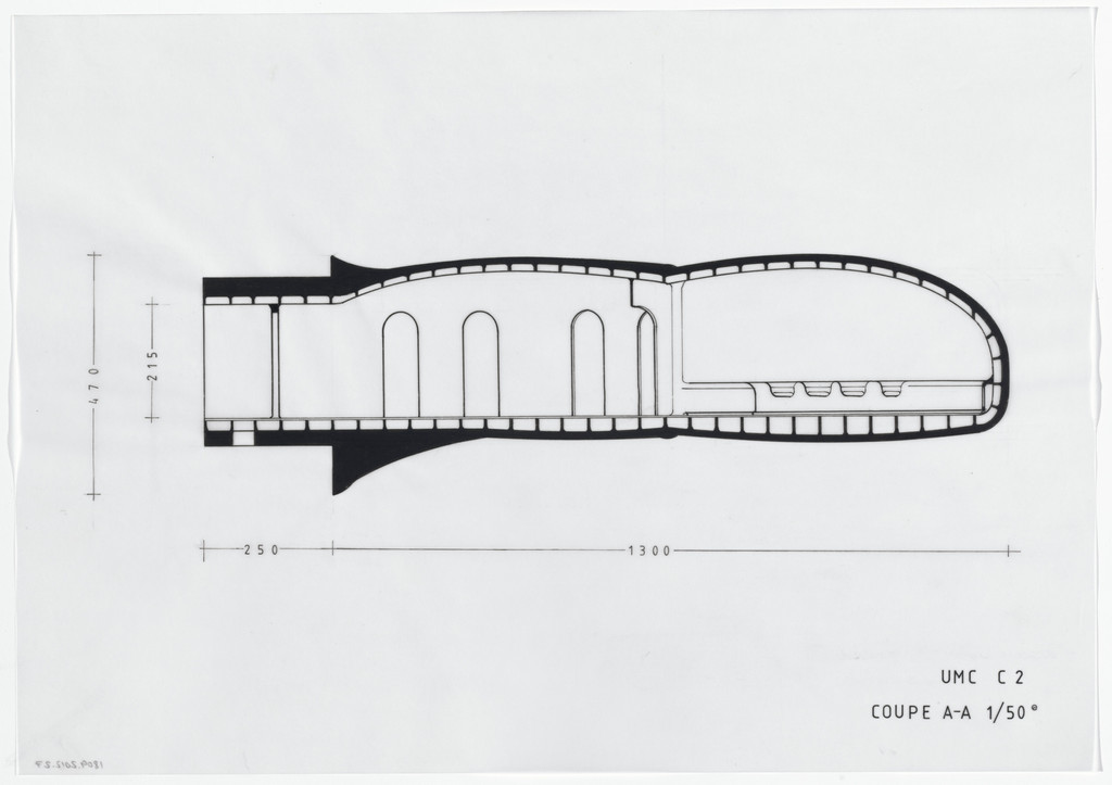 Urban Proposal with Multi Thin-Shell Capsules, project (Elevation)