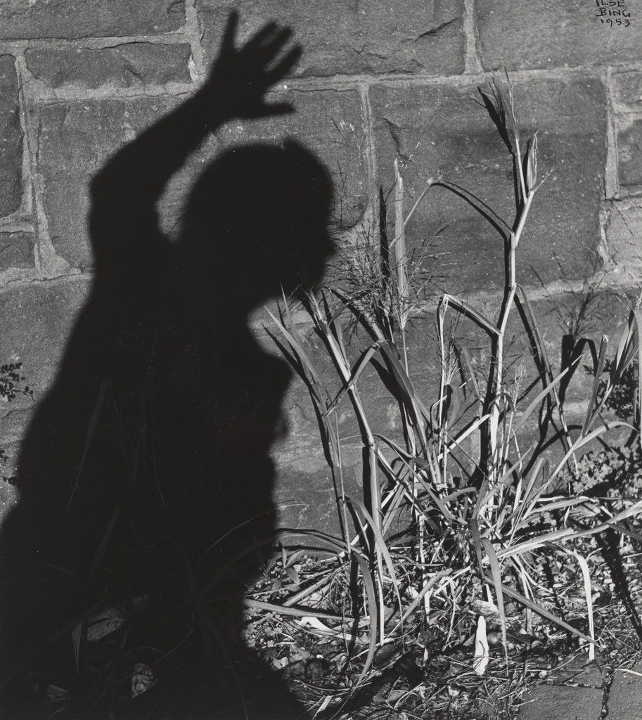 Shadow Self-Portrait, Washington, D.C.