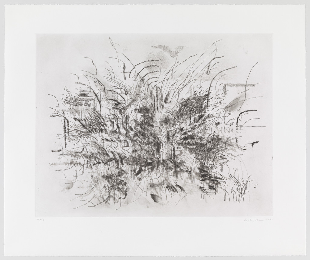 Untitled from Algorithms, Apparitions and Translations