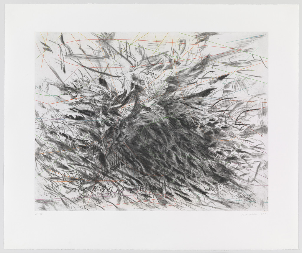Untitled from Algorithms, Apparitions and Translations