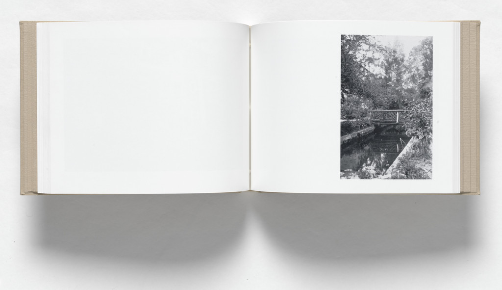 Untitled, no. 38 of 69, from the illustrated book, Album