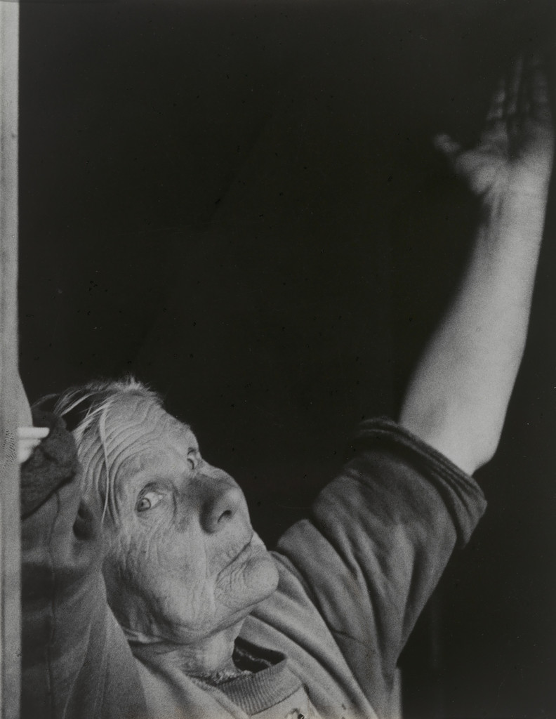 Untitled from the series Humanario