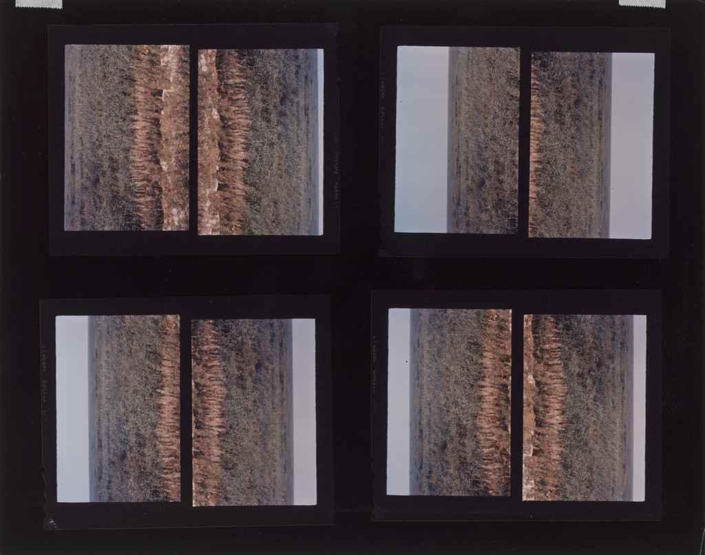 Horizon Studies