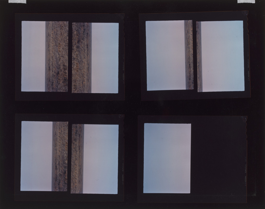 Horizon Studies