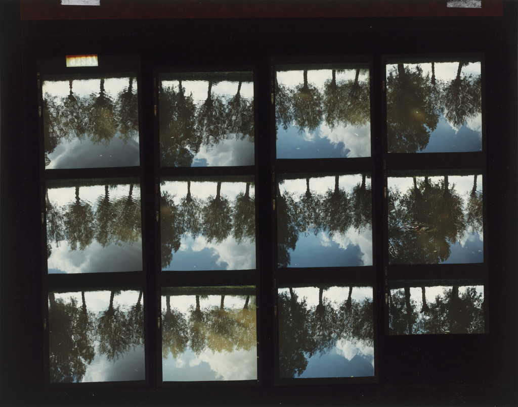 Reflection Studies