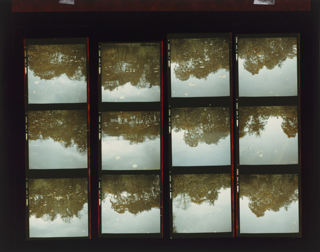 Reflection Studies