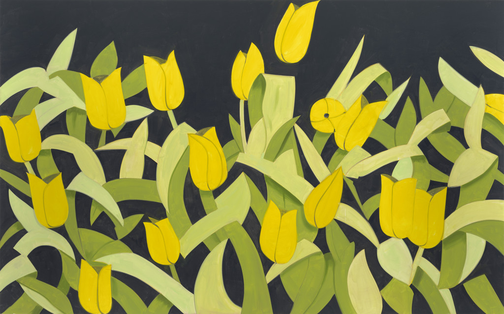Tulips 4