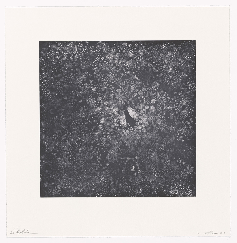 Cauli-Cosmos