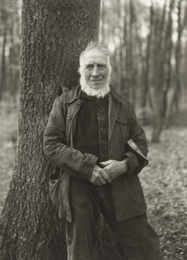 Woodcutter