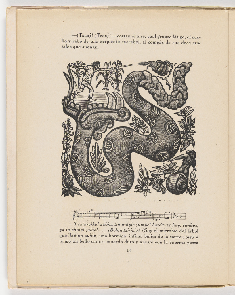 Serpiente cascabel (in-text plate, page 14) from the illustrated book Incidentes melódicos del mundo irracional (Melodic Incidents of the Irrational World)