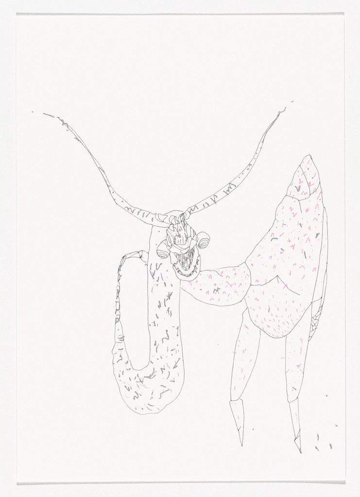 Untitled (for Parkett no. 95)