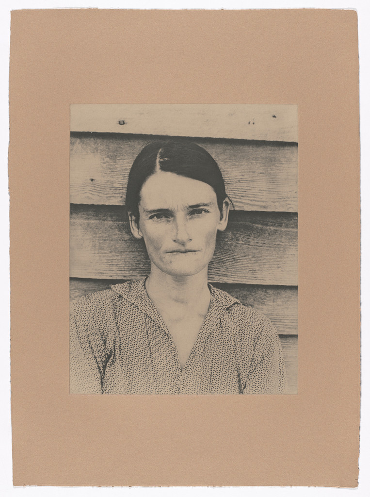 Barcham Green Portfolio No. 5